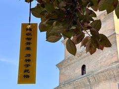 -大慈恩寺(大雁塔)