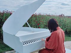 -莲花山花海