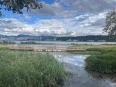 -洱海月湿地公园