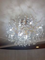 -八佰伴8008星级形象店