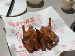 -百利鸽王(紫薇路店)