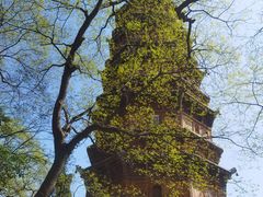 -宝通禅寺