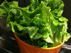 -古乐牛香·鲜牛肉牛杂火锅(五一中路店)