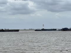 -上海滨江森林公园