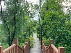 -西溪国家湿地公园