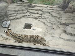 -杭州野生动物世界