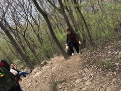 -紫金山山顶公园