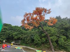 -增城大丰门漂流