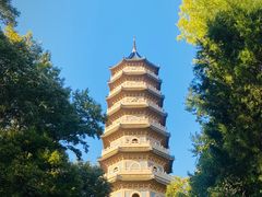 -灵谷景区