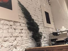 -常识咖啡common sense(春熙路店)