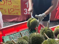 -芽笼