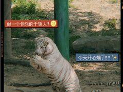 -常州淹城野生动物世界