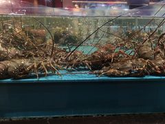 -阿伟海鲜楼·福建菜(延寿店)