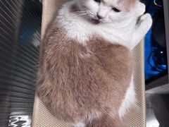 -艾贝尔宠物医院·狂犬免疫点(江山金象城店)