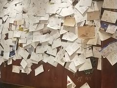 -古树酸奶(八廓南街店)