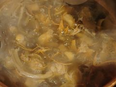 -阿山卓·野生菌火锅·纳西火塘烤肉