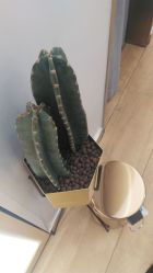 -简法造型·品牌形象店