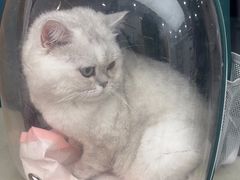 -瑞派康怡24h宠物医院·犬猫医疗中心·微创绝育(瑞景分院)