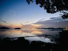 -上海市保健医疗中心