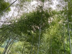 -龙瀑仙洞