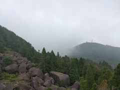 -玉苍山国家森林公园
