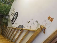 -猫的茶·猫咖