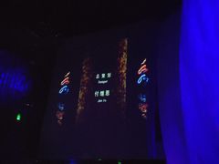 -水秀国际大剧院