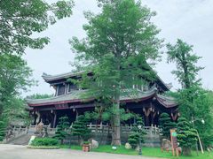 -乐山乌木文化博览苑