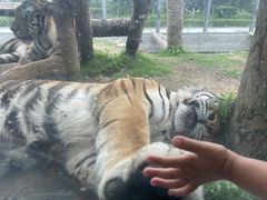 -西霞口神雕山野生动物世界