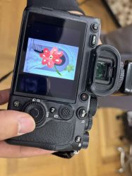 -金夫人婚纱摄影(总店)