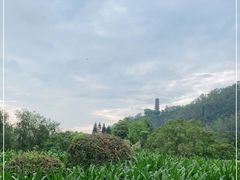 -南沙蒲洲花园
