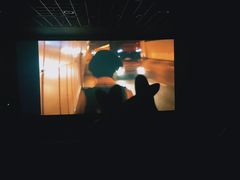 -星轶IMAX影城(桐乡吾悦广场旗舰店)