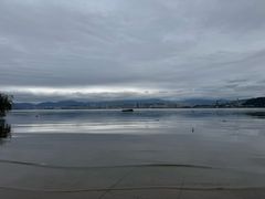 -洱海月湿地公园