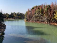 -瑶湖湿地自然保护区