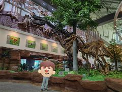 -嘉荫恐龙国家地质公园