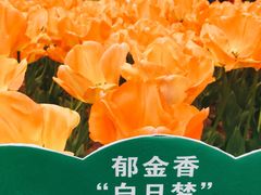-江南大学(蠡湖校区)