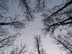 -百里山水画廊