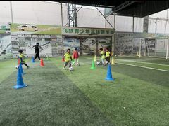 -飞梦少儿足球培训(塘桥校区)