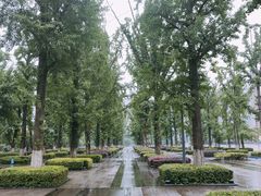-百林公园-两江幸福广场