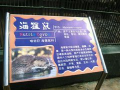 -广东茂名森林公园