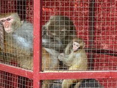 -武汉紫薇都市田园