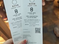 -影汇之星8字形摩天轮