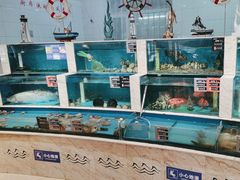 -福娣·金沙银贝海鲜火锅