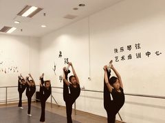 -快乐琴弦音乐舞蹈艺术教育中心(马连道校区)