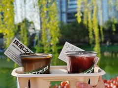 -陆家嘴中心绿地