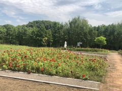-同里国家湿地公园