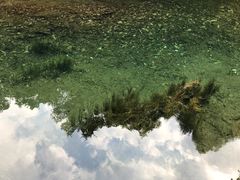 -午潮山国家森林公园
