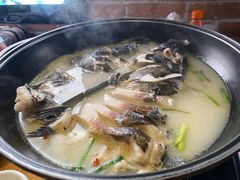 -丰乐餐厅·始于1999·本地老字号