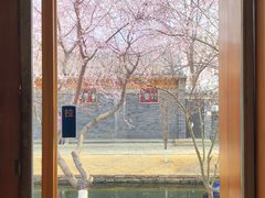 -春风习习
