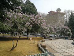 -山东师范大学(千佛山校区)